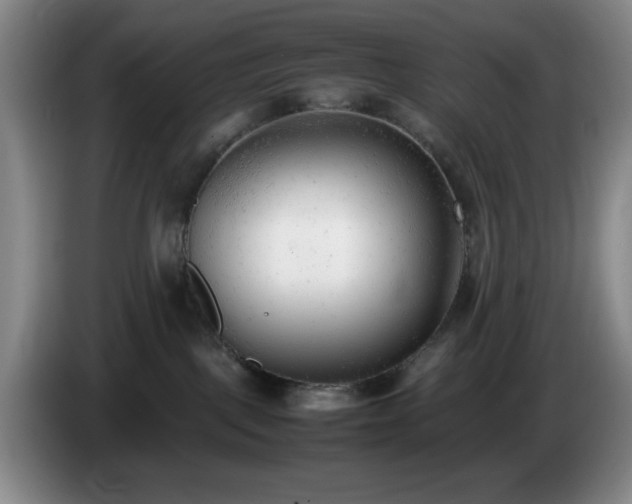 X0000085010093200703121530