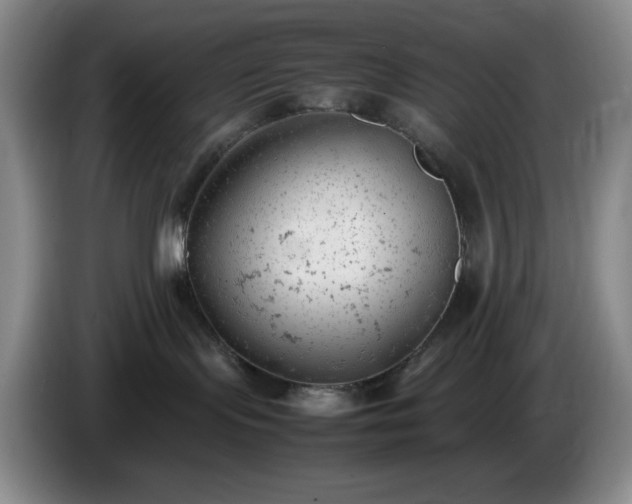 X0000085010095200703121530