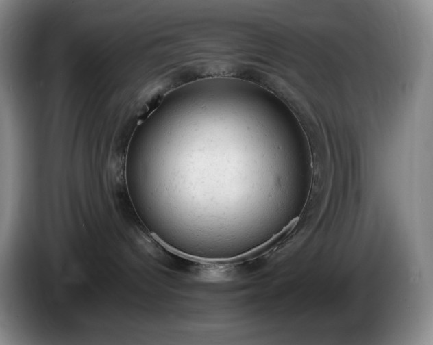 X0000085010096200703121531