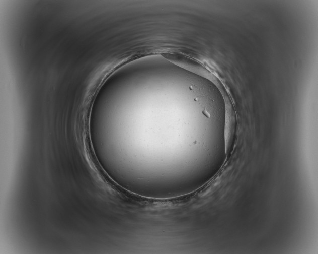 X0000085010097200703121530