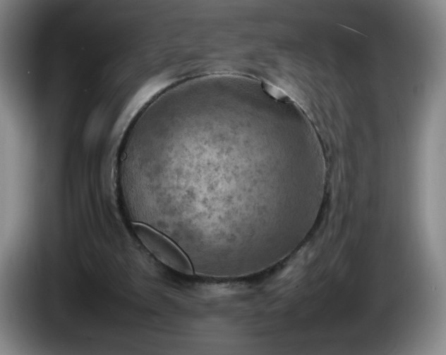 X0000085010103200703121530