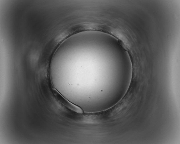 X0000085010105200703121530