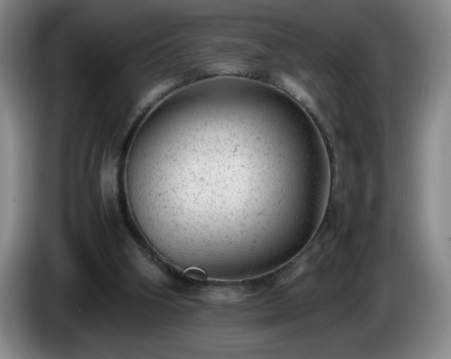 X0000085010106200703121530
