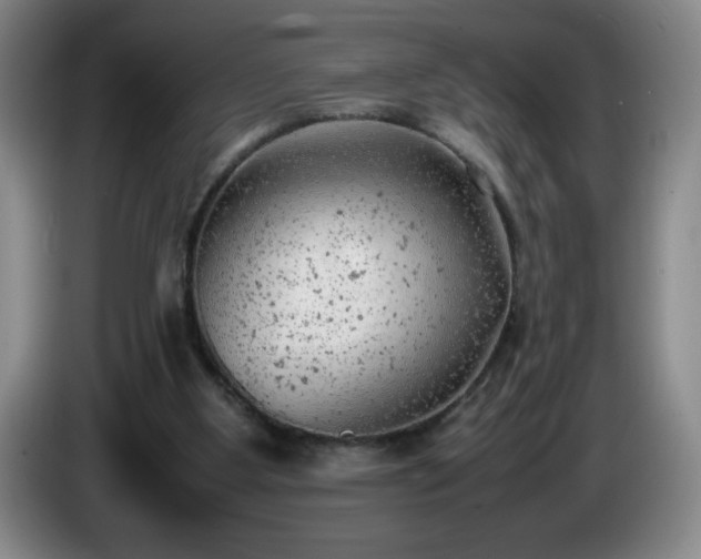 X0000085010107200703121530