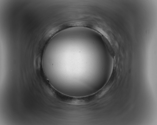 X0000085010109200703121530