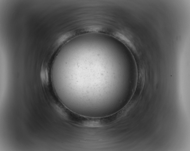 X0000085010110200703121530