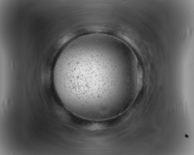 X0000085010111200703121530