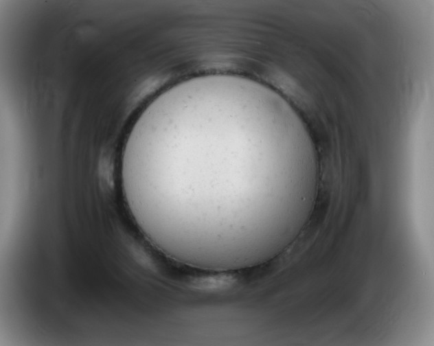 X0000085010112200703121530