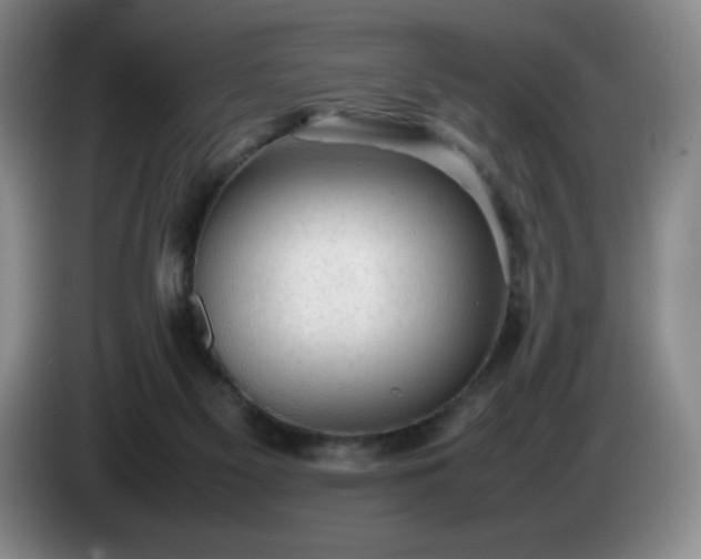 X0000085010117200703121530
