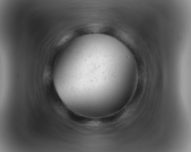 X0000085010119200703121530