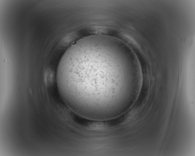 X0000085010123200703121529