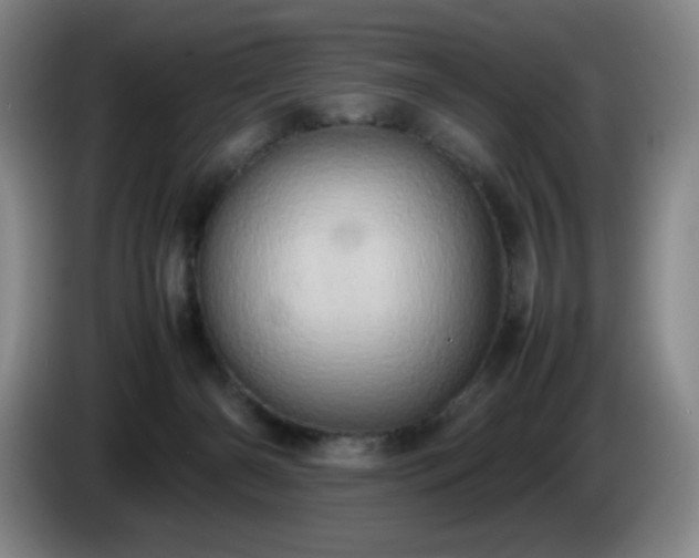 X0000085010126200703121529
