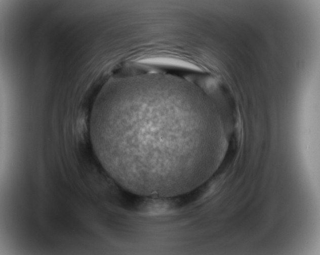 X0000085010127200703121529