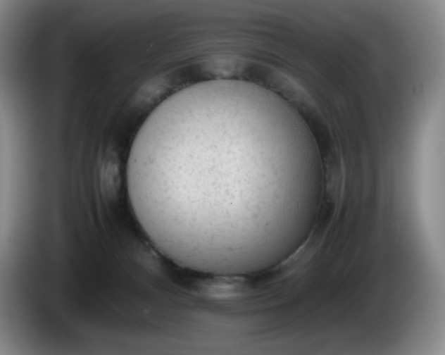 X0000085010128200703121529