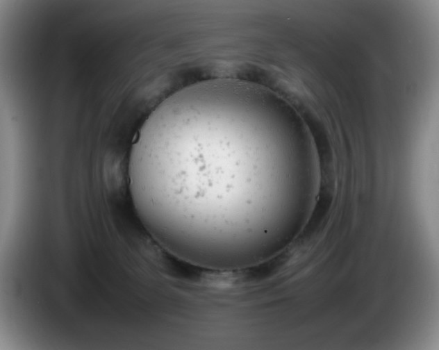 X0000085010131200703121529