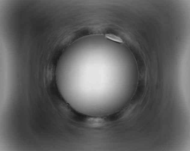 X0000085010133200703121529