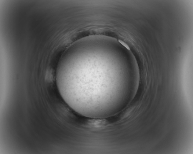 X0000085010135200703121529