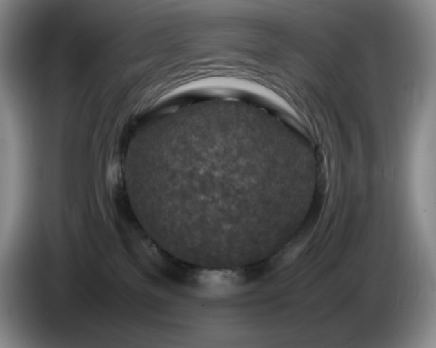 X0000085010137200703121529