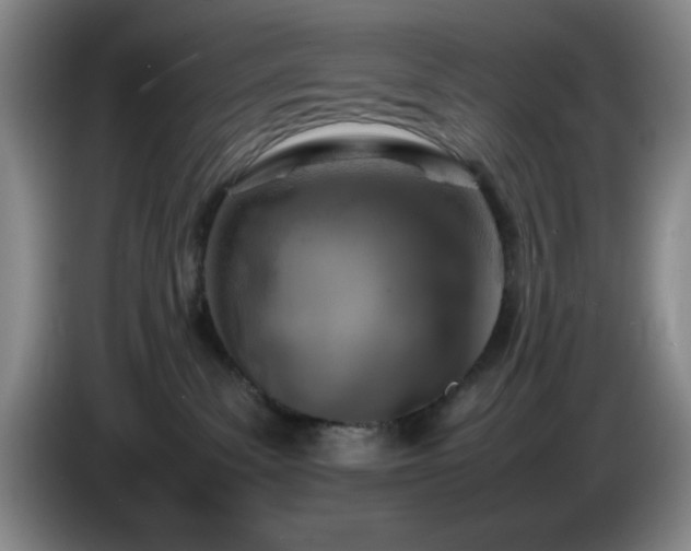 X0000085010139200703121529