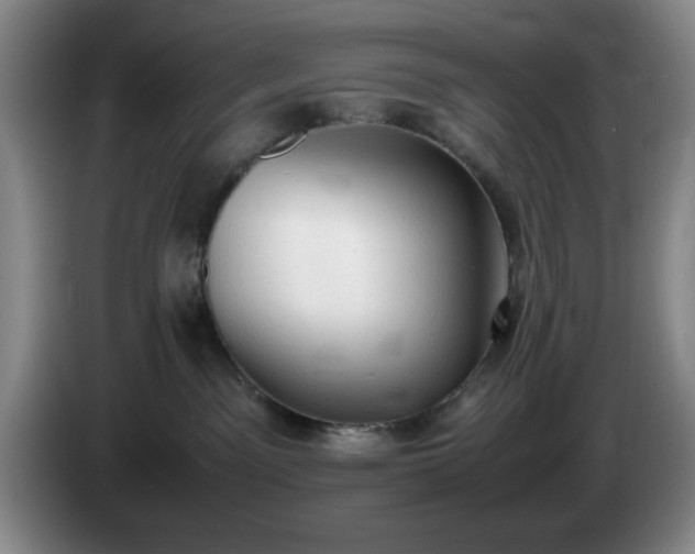 X0000085010141200703121529