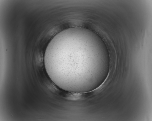 X0000085010144200703121529
