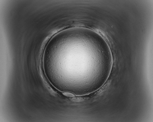 X0000085010145200703121529