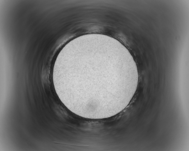 X0000085010146200703121529