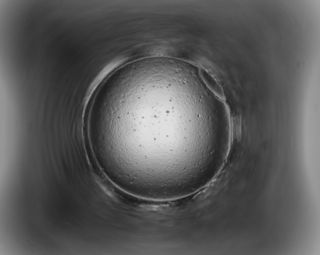 X0000085010147200703121529
