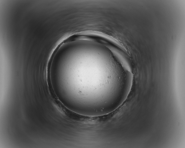 X0000085010148200703121529