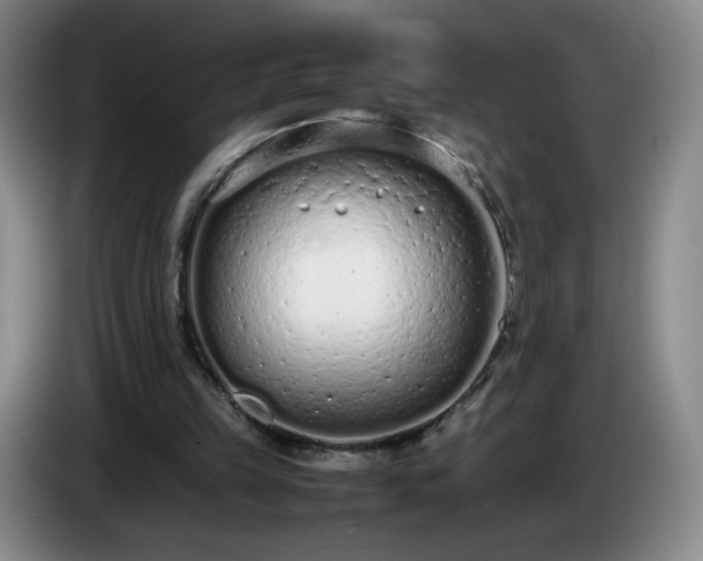 X0000085010149200703121529