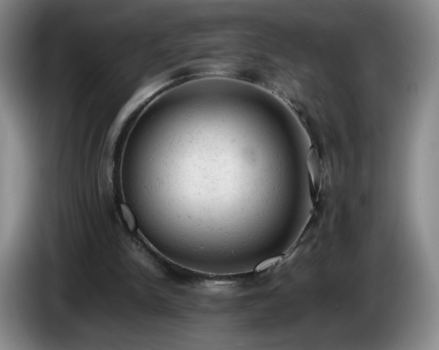 X0000085010150200703121529