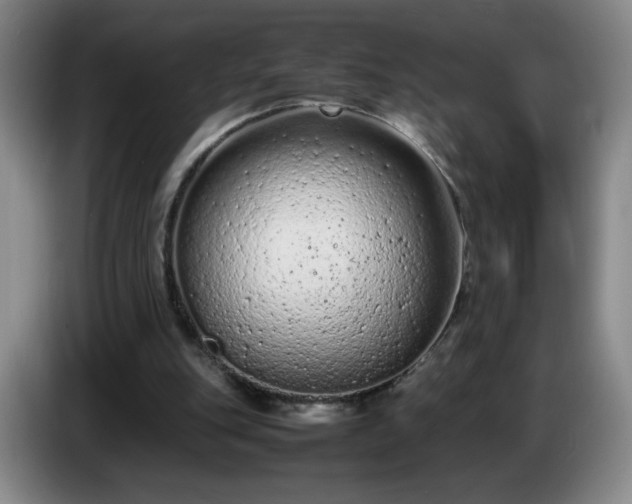 X0000085010151200703121529