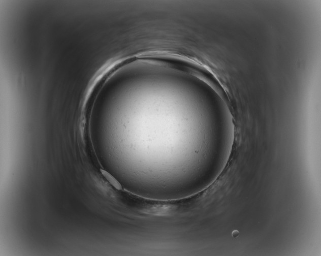 X0000085010152200703121529