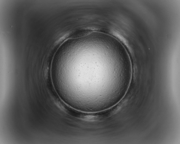 X0000085010153200703121529