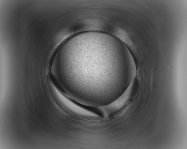 X0000085010156200703121529