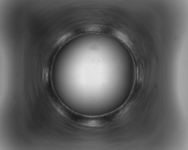 X0000085010157200703121529