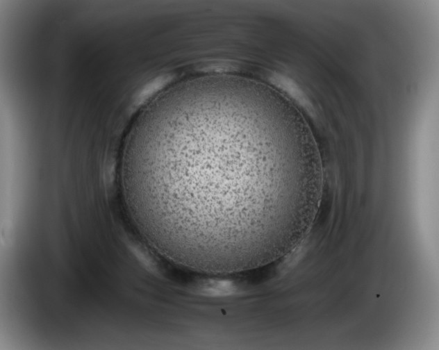 X0000085010159200703121529