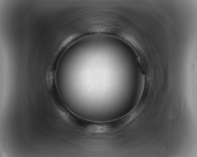 X0000085010160200703121529