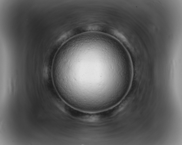 X0000085010161200703121529