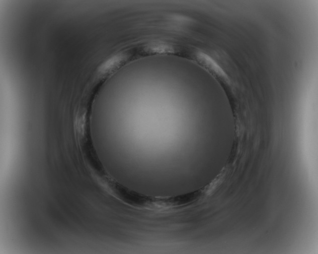 X0000085010163200703121529