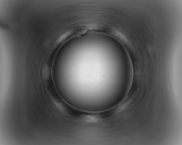 X0000085010164200703121529
