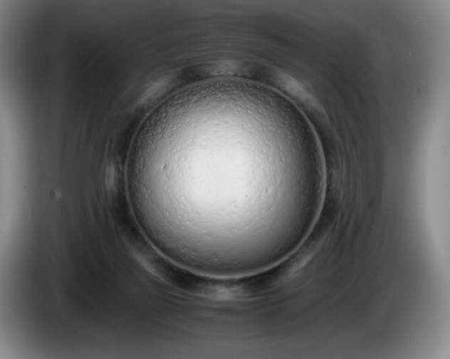 X0000085010165200703121529