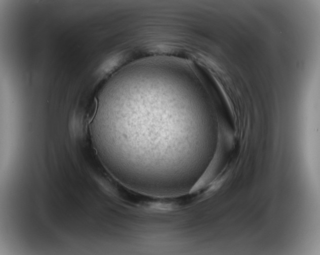 X0000085010168200703121529