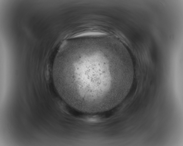 X0000085010169200703121529
