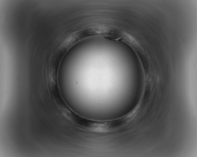 X0000085010170200703121529