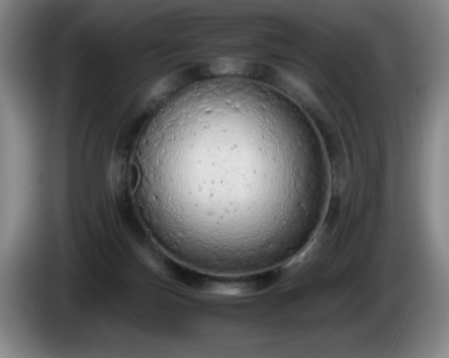 X0000085010171200703121529