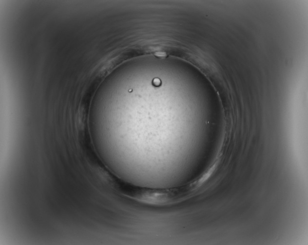 X0000085010174200703121529