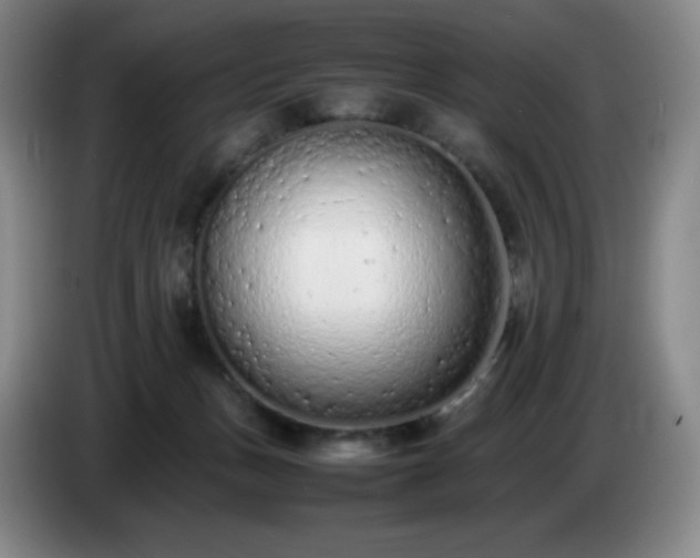 X0000085010175200703121529