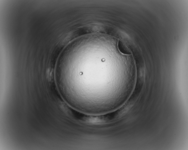 X0000085010177200703121529