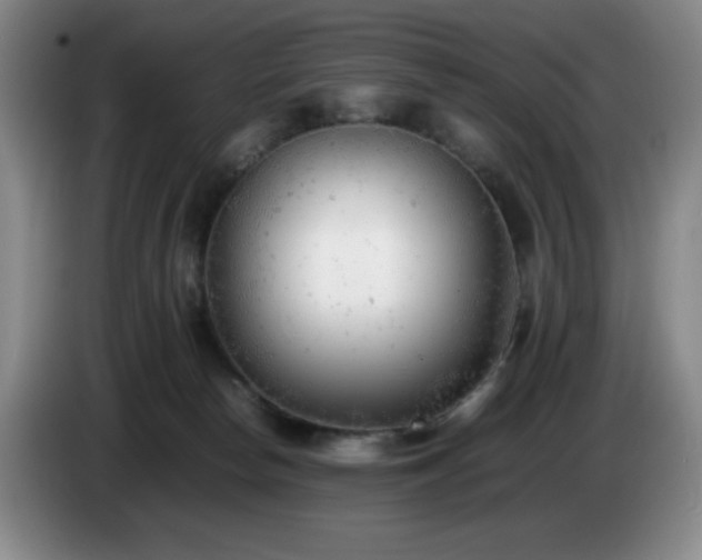 X0000085010178200703121529